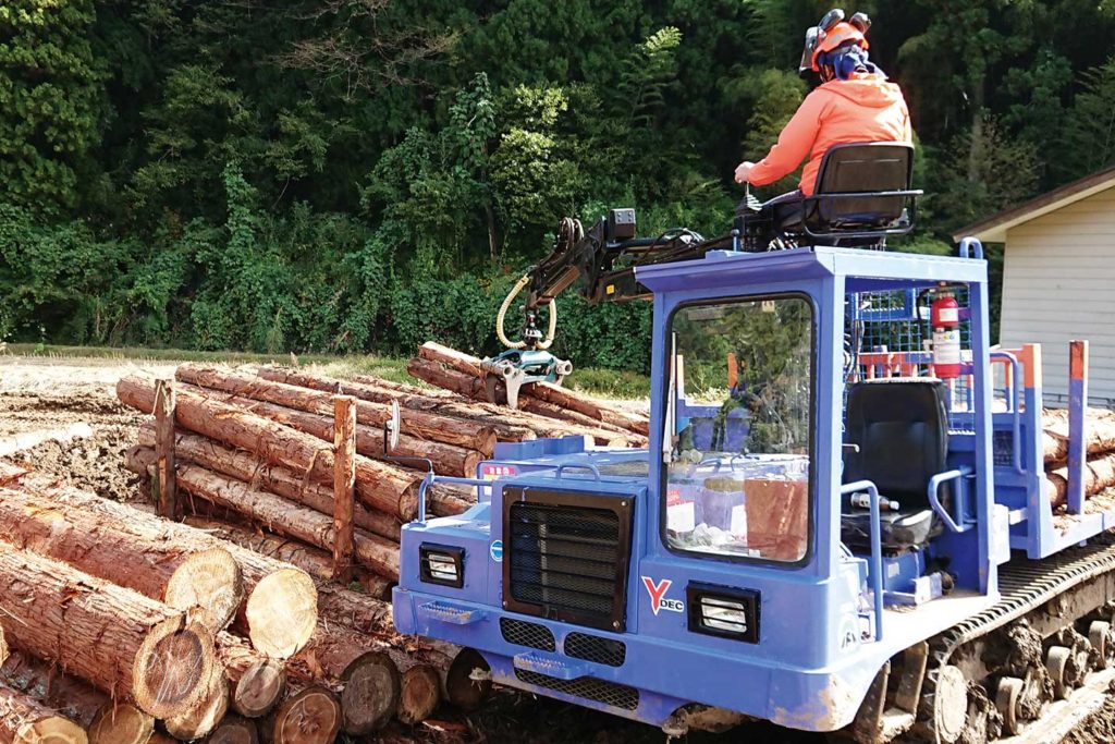 木材を伐採するスタッフ